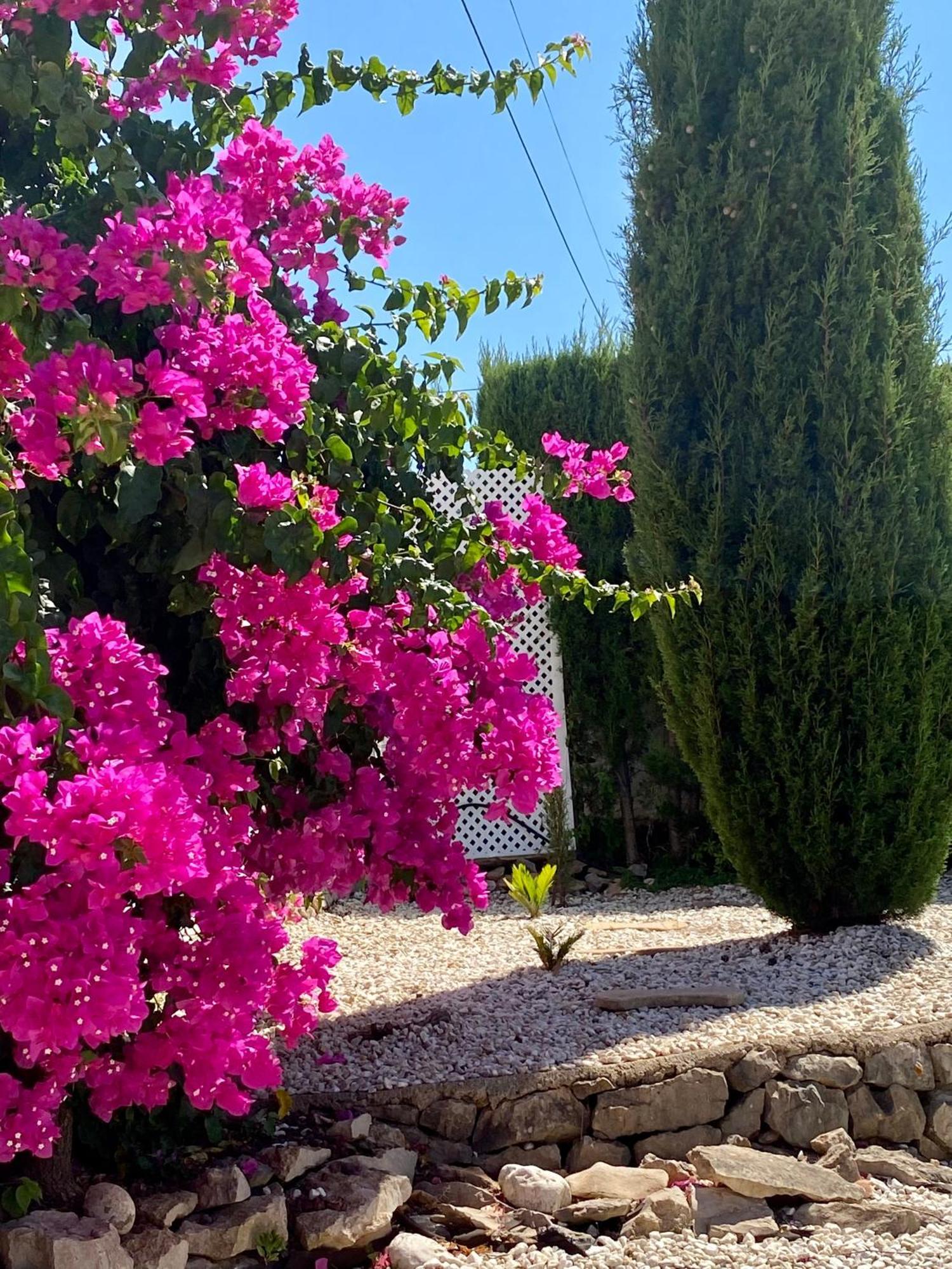 Olivae Xalet Villa Benidoleig Dış mekan fotoğraf